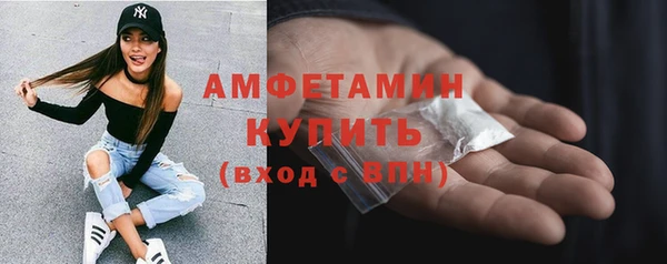 молекула духа Арсеньев
