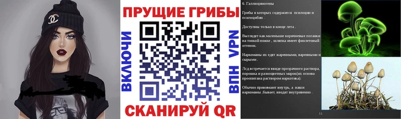 Галлюциногенные грибы Magic Shrooms  Сочи 